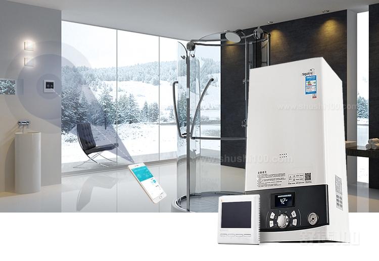 上海壁挂炉安装