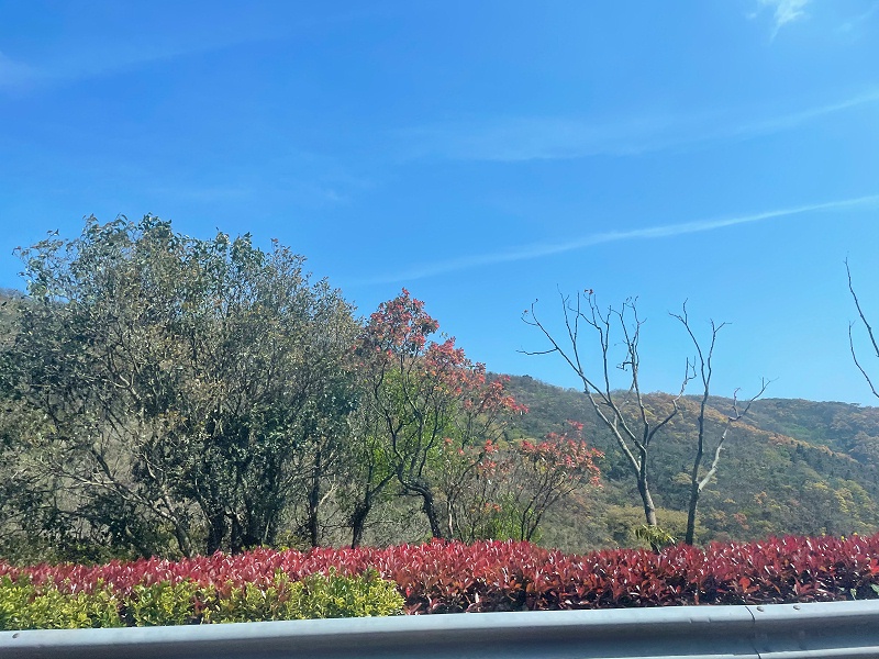 上海越邦机电团队旅游